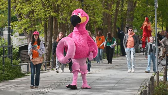 Artystyczna eksplozja