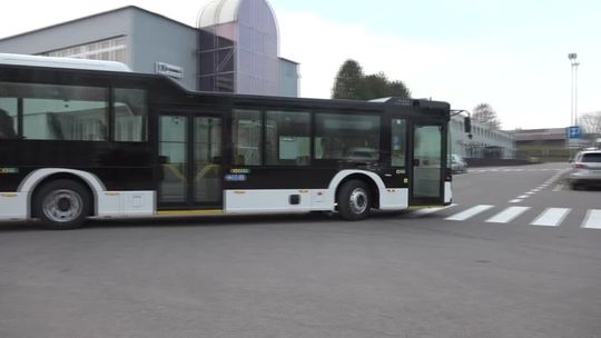 Autobusy jak malowane