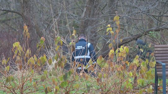 Badania DNA nie pozostawiają złudzeń