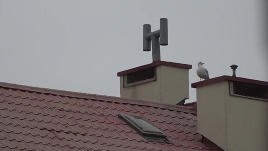 Będą kary za spalanie śmieci