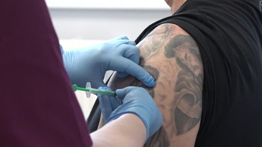 Bezpłatne szczepienia przeciw HPV w Ustce