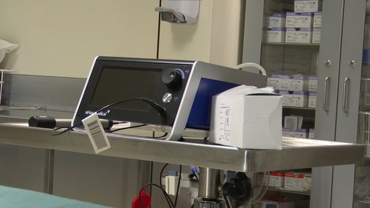 Bioznaczniki w walce z rakiem