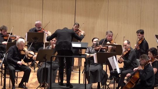 Ciechowski na karnawał