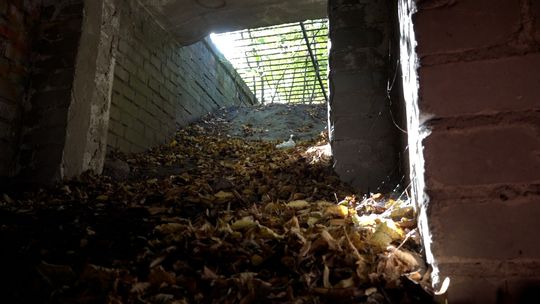 Czy jesteśmy gotowi na zagrożenie?