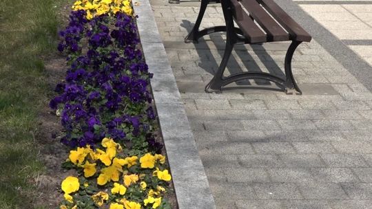 Czyste powietrze i zielona Ustka