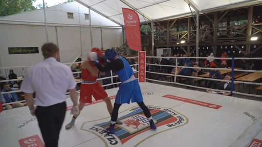 memoriał aleksa aleksandrowicza