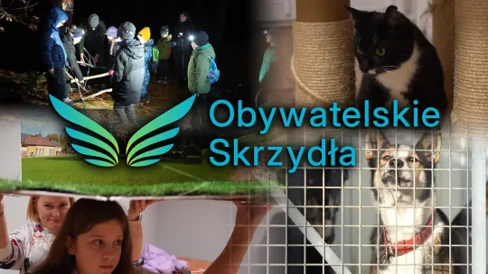 Ekologia i zwierzęta 🐾 Jak NGO zmieniają świat na lepsze?