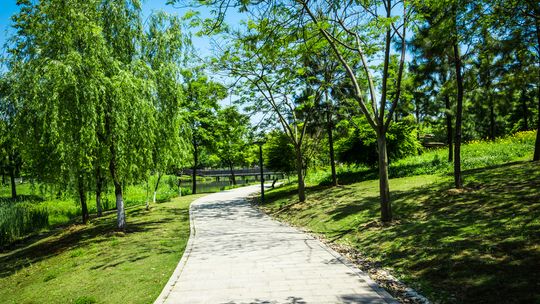 Inspiracje i porady dla projektowania terenów zielonych