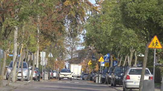 Jakie zieleńce w mieście