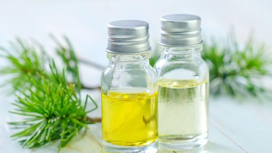 Jodła i sosna w aromaterapii – nieoczywiste wsparcie mindfulness?