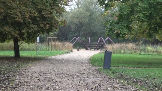 Kamery zobaczą park