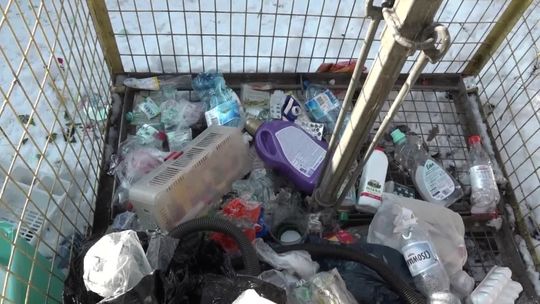 Kary za brak selekcji