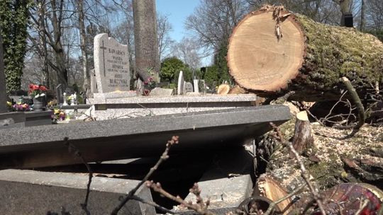 Konar uszkodził nagrobki