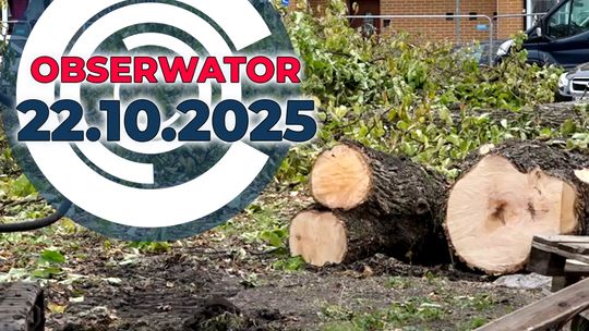 Konieczna wycinka, Hejt to nie zabawa, Okazja czyni złodzieja