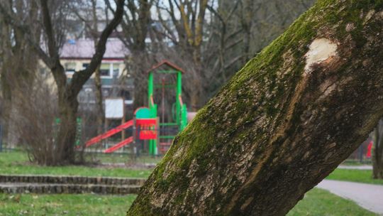 Konsultacje w sprawie Parku Wazów