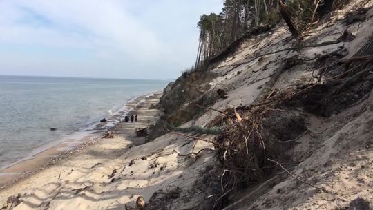 Koronawirus ogranicza las