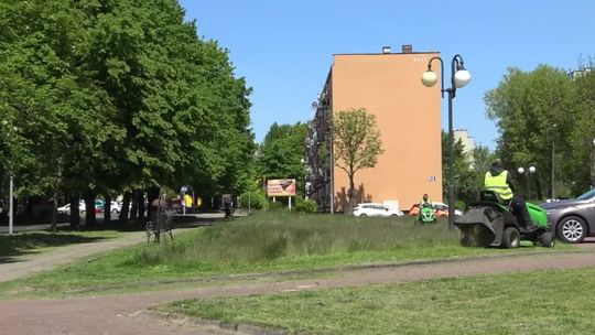 Koszenie tylko niezbędne