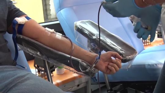 Krew pilnie potrzebna