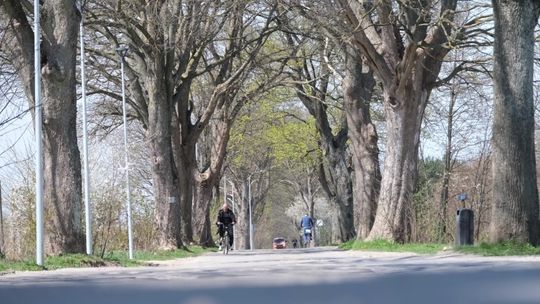 Legionów będzie dłuższa