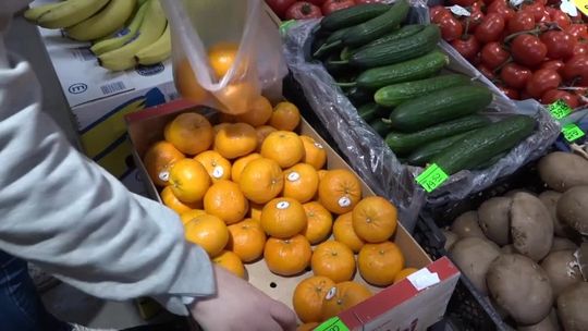 Młodzi ludzie o zdrowiu