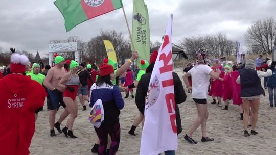 Morsy na fali w Ustce