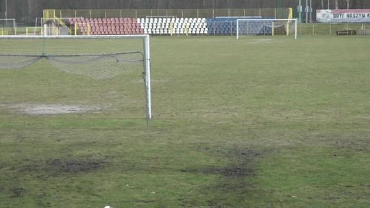 Murawa prawie gotowa