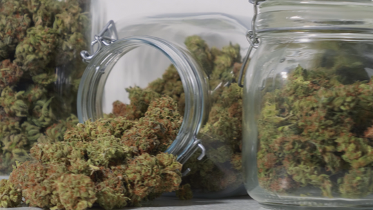 Nastolatkowie z narkotykami