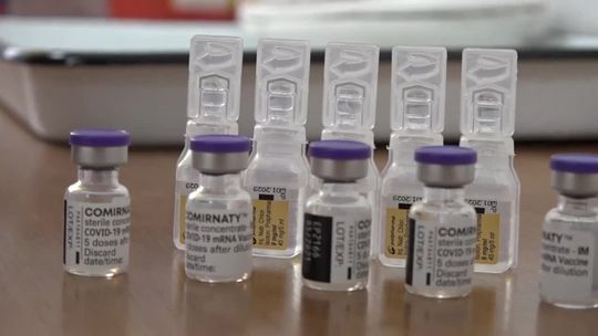 Nauczyciele się szczepią