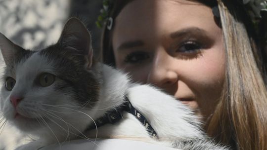 Nie Szkoła, a Przygoda!