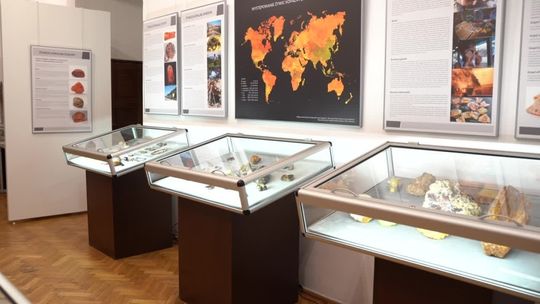 Niedźwiadek wróci do Słupska