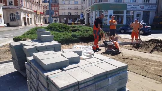 Nowe zjazdy i nasadzenia