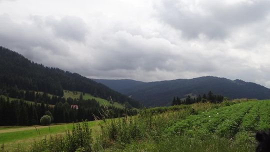 Nowy kierunek letnich wakacji i ferii zimowych