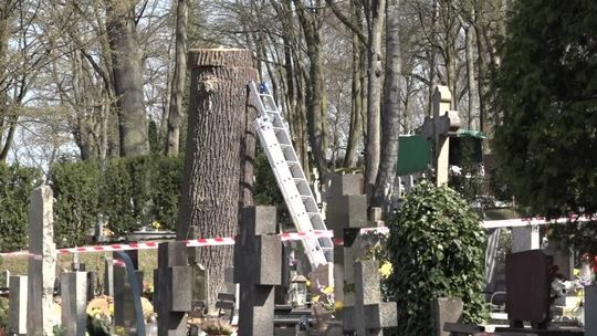 Okiem Obserwatora 2021.04.22