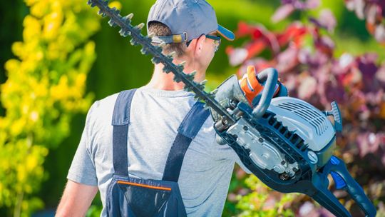 Optymalne narzędzia do pielęgnacji ogrodu - co wybrać?