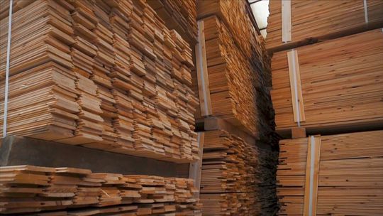 Optymalne wykorzystanie płyt w stolarstwie