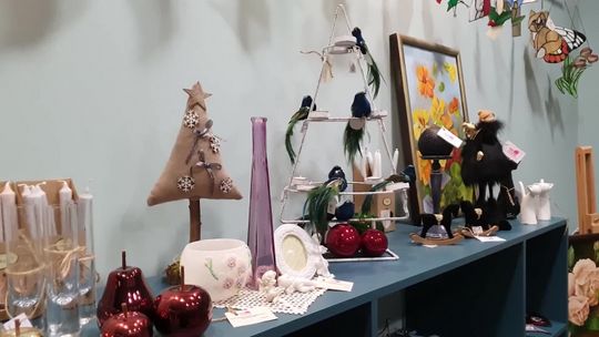 Organizacje pozarządowe część 3