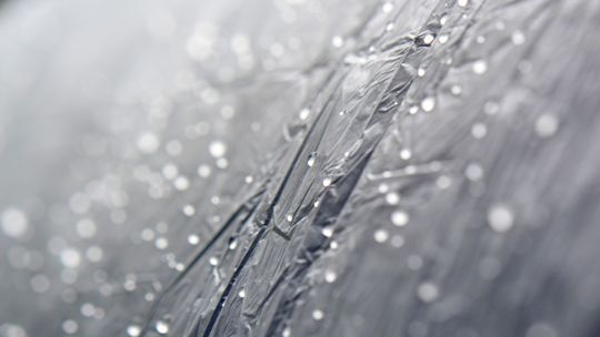 Plandeka ogrodowa – praktyczne zastosowania w ogrodzie i na działce