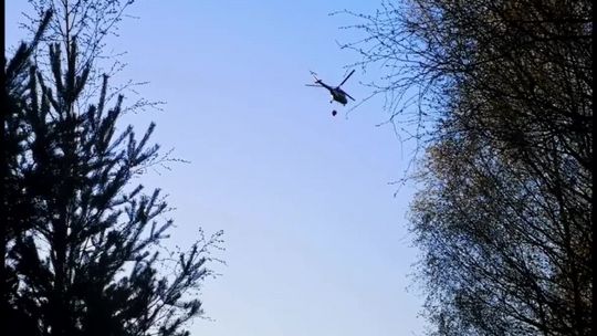 Płoną lasy w regionie