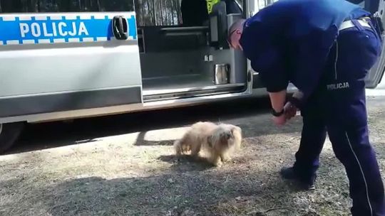 Policja pomaga nie tylko ludziom