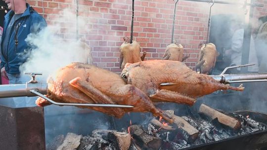 pomorska gęsina swołowo