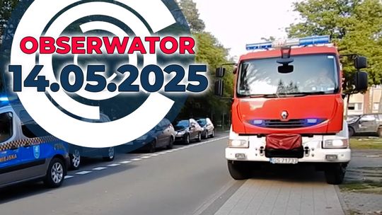 Potwierdzona tożsamość zwłok z walizki, Bohaterki w kitlach, Europejski miś