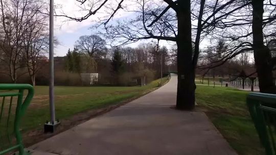 Powstanie lasek pełen gier