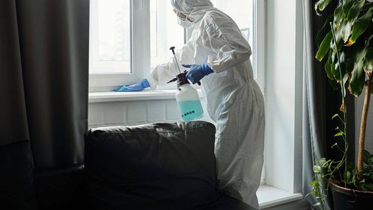 Profesjonalna dezynsekcja pluskwy warszawa: standardy i procedury ratunkowe