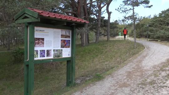 Przyroda ustecka na tablicach