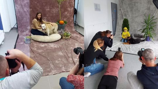 Psia sesja w schronisku