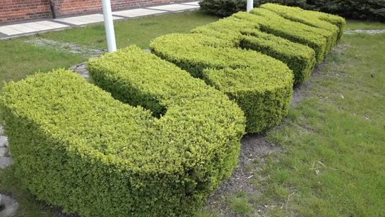 Ratusz znowu dla mieszkańców