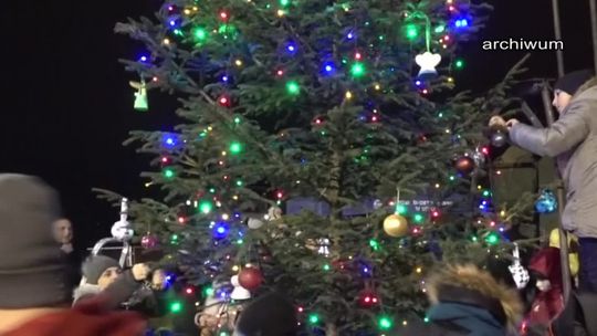 Razem ubiorą choinkę