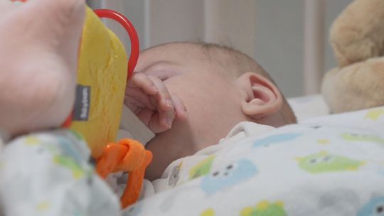 mały krzyś potrzebuje rodziny