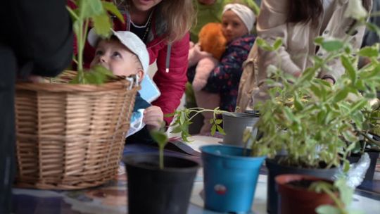 Rośliny na wymianę 