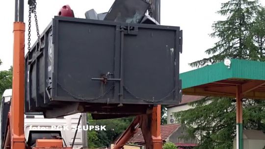 Rośliny zamiast śmieci